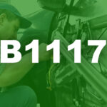 B1117