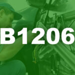 B1206