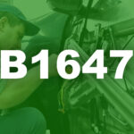 B1647